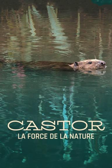 Castor, la force de la nature poster