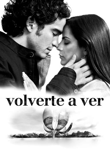 Volverte a ver poster