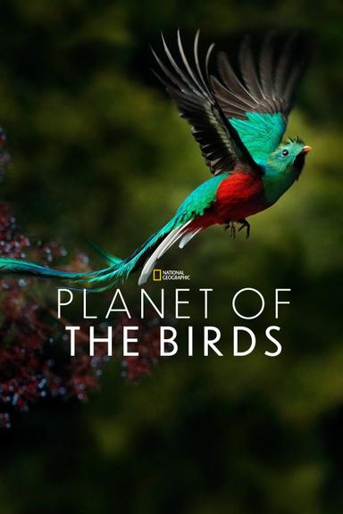 Planet of the Birds poster