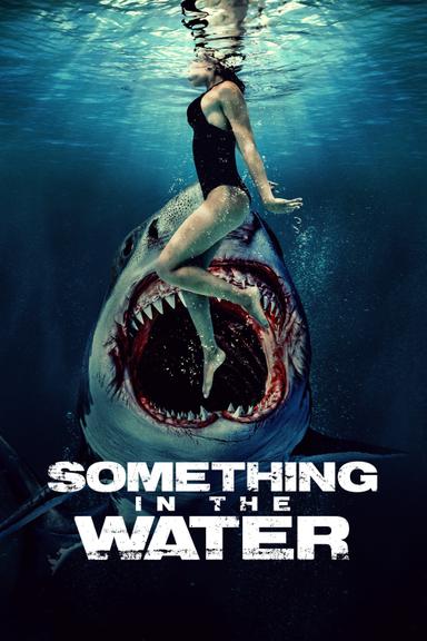 Something in the Water poster