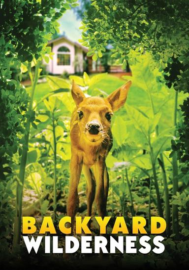 Backyard Wilderness poster