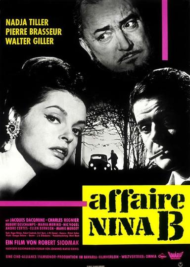 The Nina B. Affair poster