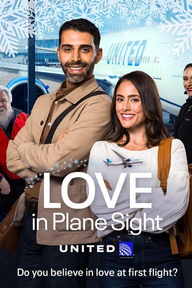 Love in Plane Sight poster