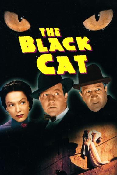 The Black Cat poster