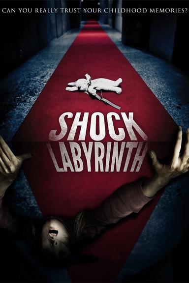 The Shock Labyrinth poster