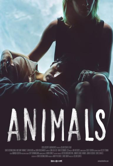 Animals poster