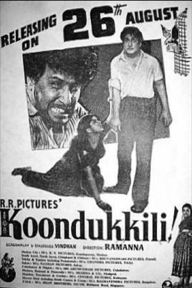 Koondukkili poster