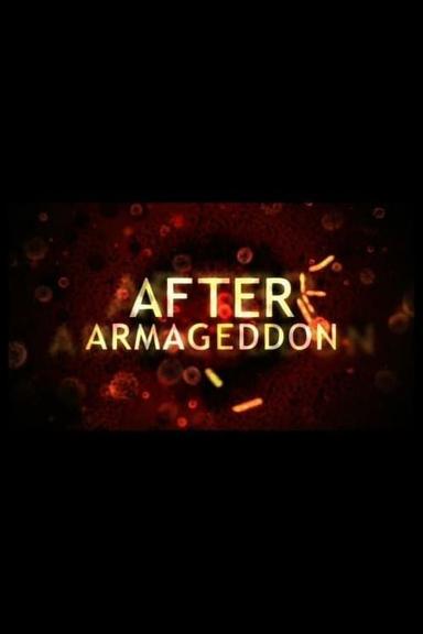 After Armageddon poster