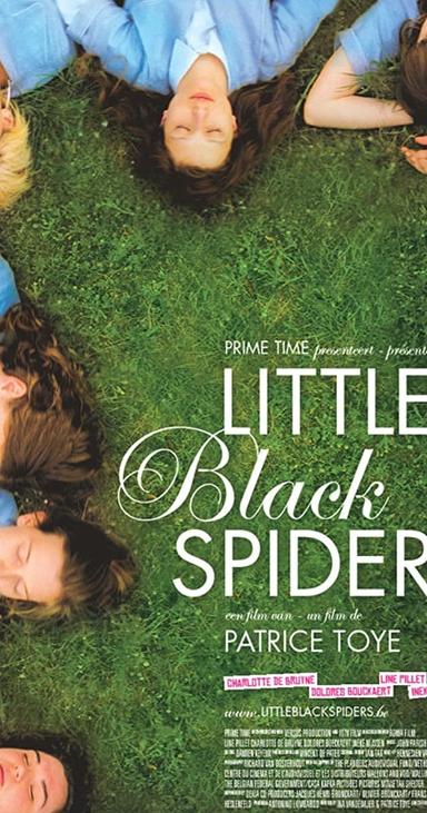 Little Black Spiders poster