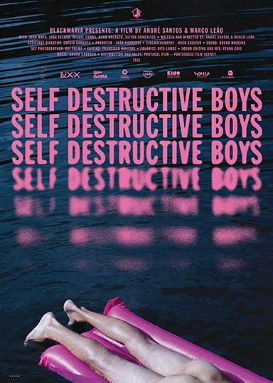 Self Destructive Boys poster