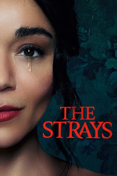 The Strays poster