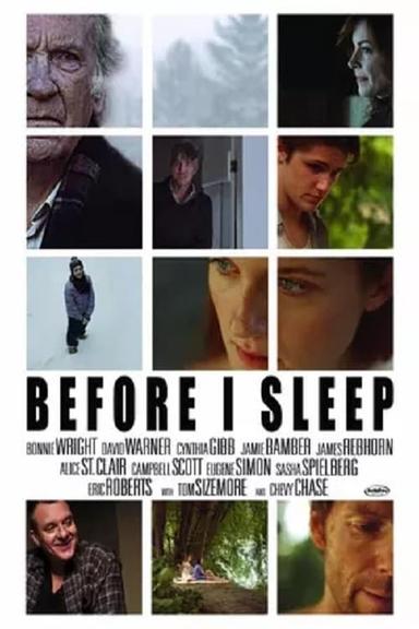 Before I Sleep poster