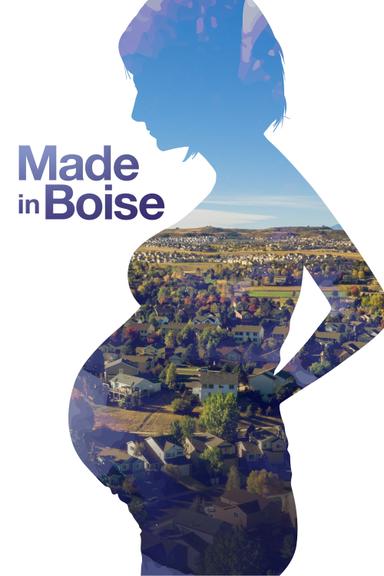 Made in Boise poster