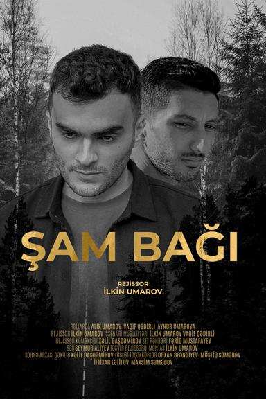 Şam Bağı poster