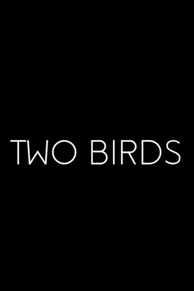 Two Birds poster