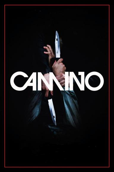 Camino poster