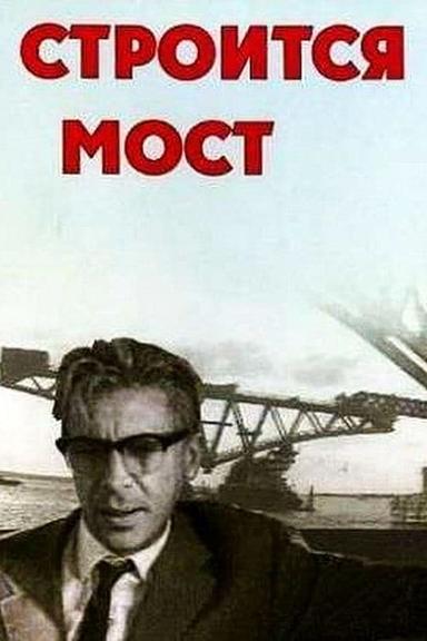 Строится мост poster