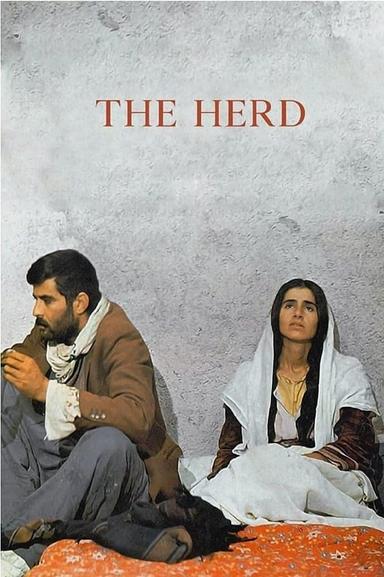 The Herd poster