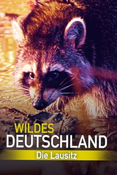 Wild Germany: Exploring Lusatia poster