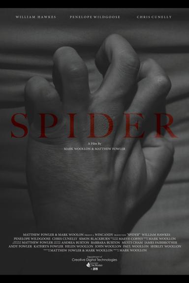 Spider poster