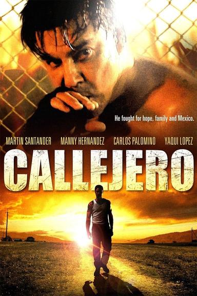 Callejero poster