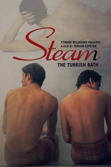 Steam: The Turkish Bath poster