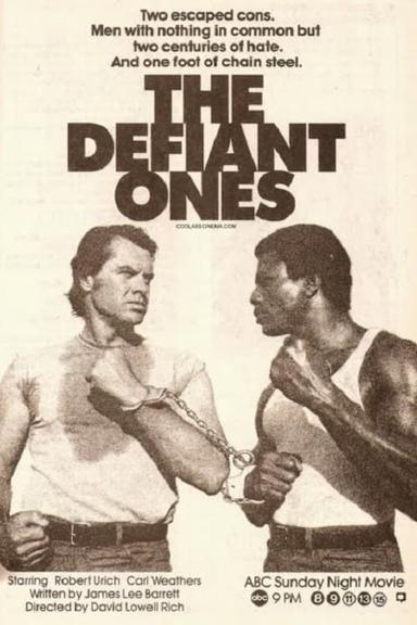 The Defiant Ones poster