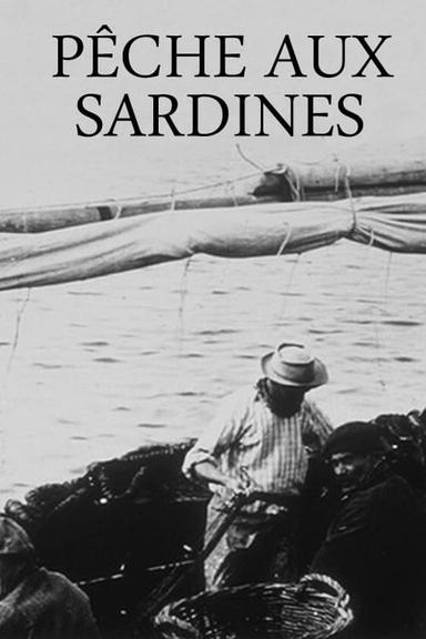 Sardine fishing poster