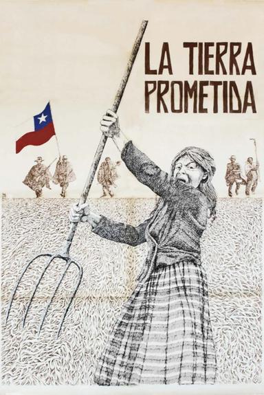 The Promised Land poster