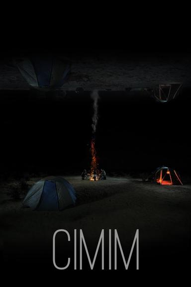 CIMIM poster