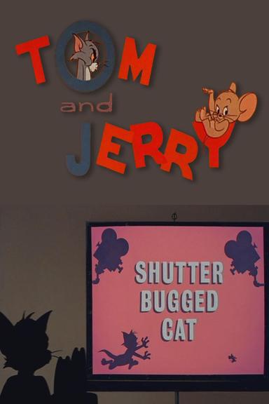 Shutter Bugged Cat poster