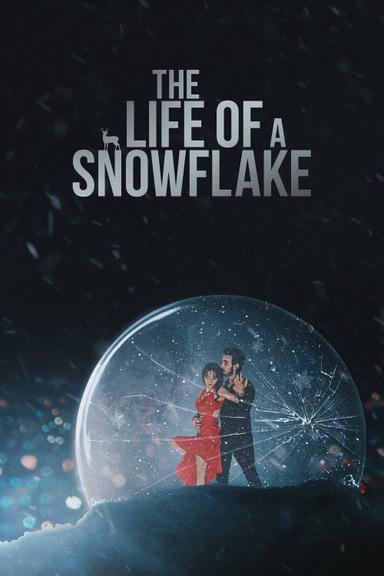 The Life of a Snowflake poster