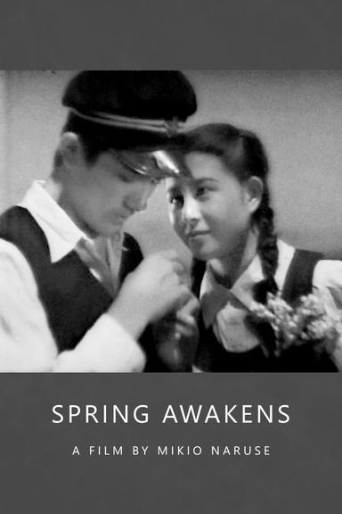 Spring Awakens poster