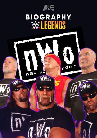 Biography: nWo poster