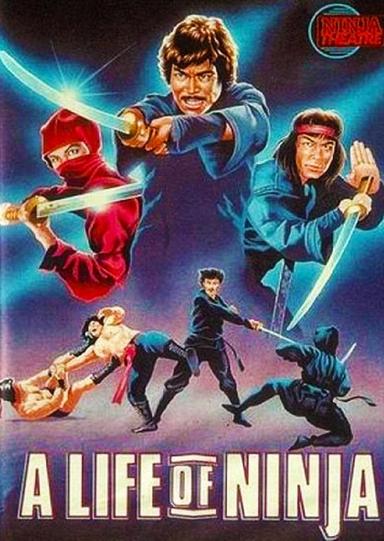 Deadly Life of a Ninja poster