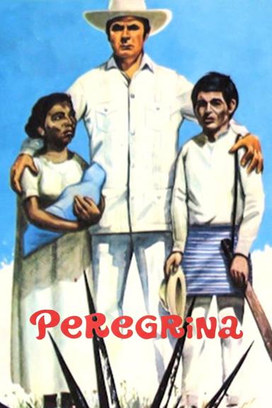 Peregrina poster