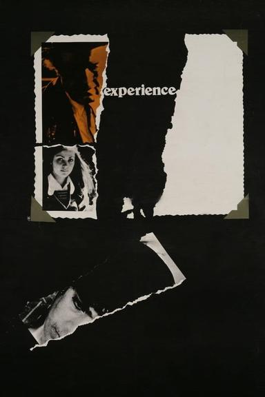 The Experience poster