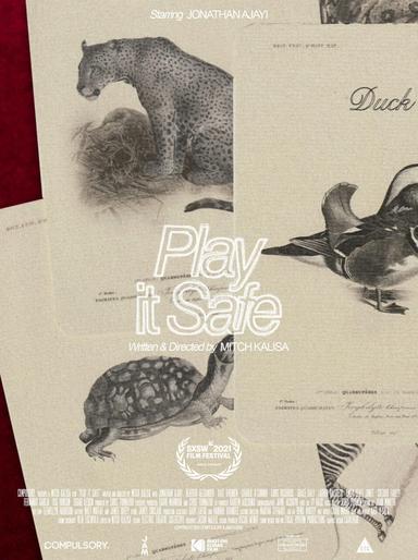 Play It Safe poster