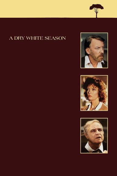 A Dry White Season poster