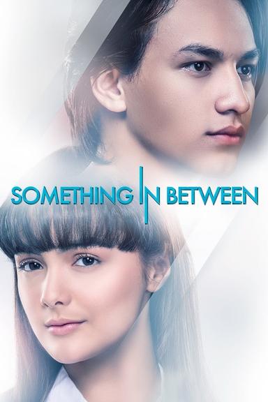 Something In Between poster