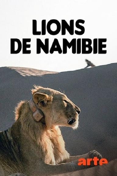 Lions of Namibia: The Kings of the Desert poster