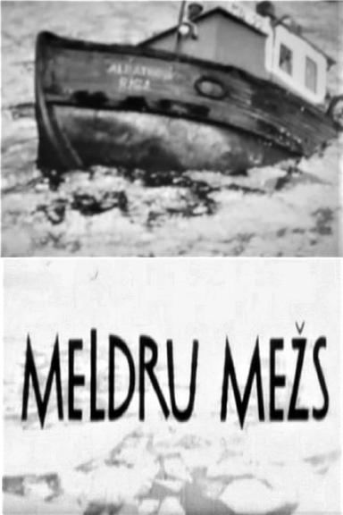 Meldru mežs poster