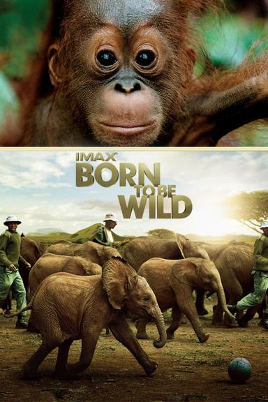 Born to Be Wild poster