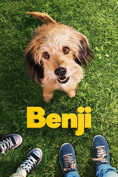 Benji poster