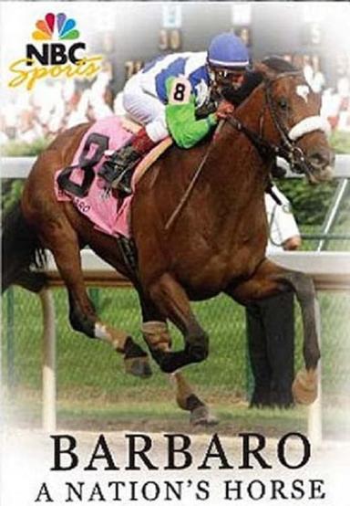 Barbaro: A Nation's Horse poster