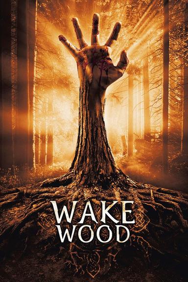 Wake Wood poster