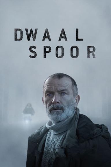 Dwaalspoor poster