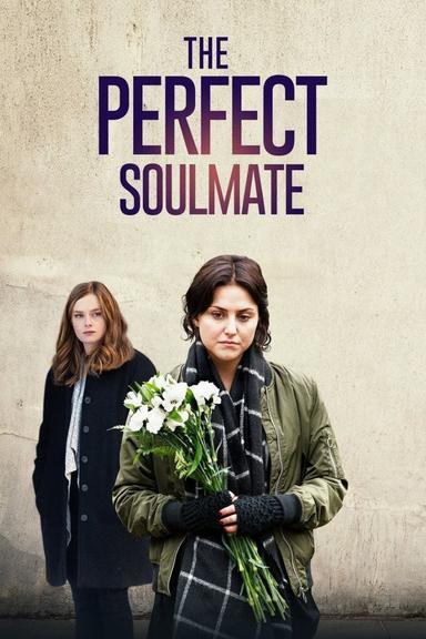 The Perfect Soulmate poster