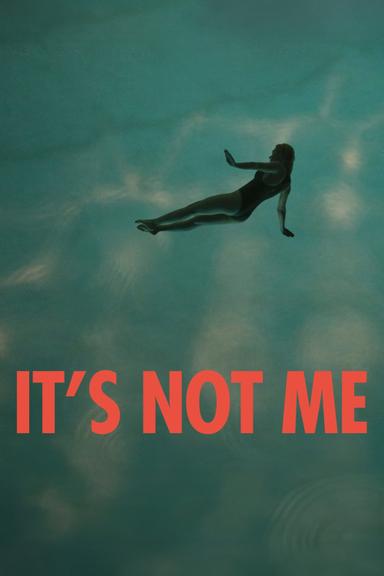 It’s Not Me poster