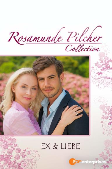 Rosamunde Pilcher: Ex und Liebe poster